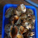 둘레길 펜션 이미지