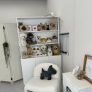 베베몽몽 이미지