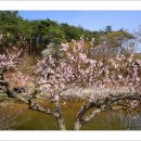 유산천변 Daum카페