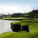 노송골프 이미지