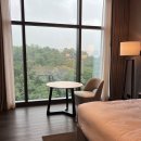 CU 분당수내역점 | 신상 호텔] 판교 더블트리바이힐튼 - 킹디럭스 포레스트뷰 내돈내산 숙박 후기, 기념일, 엠오엠, 미미판교