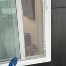 조아펜션 이미지