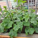 삼정그린경로당 이미지