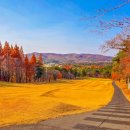 경주신라컨트리클럽 | 올해 마지막 라운딩은 경주신라 컨트리클럽에서..