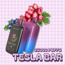 터치 톡톡 스마트한 시니어 | 테슬라바 전자담배 25000퍼프의 흡입 횟수와 진한 맛 표현, 터치스크린까지?