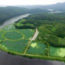 생태습지 이미지