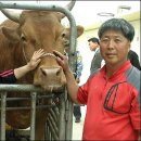 시온축산 이미지