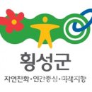 횡성군청 티스토리
