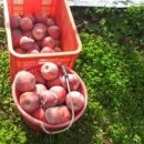 소망마트 이미지