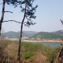 오토공인중개사사무소 이미지