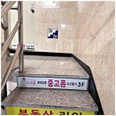 대세계 | 아이폰중고폰 가성비 대 만족했던 후기