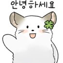 우돈제주생고기 이미지