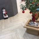 강남 참 행정사사무소 이미지