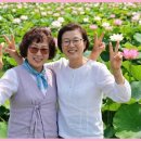 그저 바라만 보아도 좋은 사람-무진의님-수효님-그리고 스님-추억 이미지