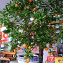 열매약국 이미지