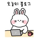 고양이 행복구역 이미지