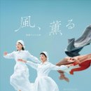 바람향기 이미지