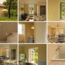 스테이 그로브 이미지