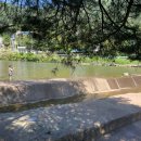 송정담다 이미지