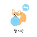 월 스트리트 애견유치원 이미지