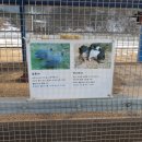 늘푸름 홍천한우 농장 이미지