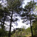 구봉산농장 이미지