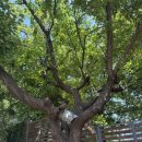 동선주유소 이미지