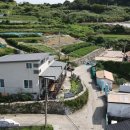 하화낭만 이미지