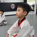 천명태권도장 이미지