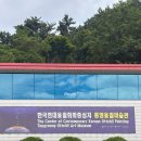 통영옻칠미술관 관람 후기, 비 오는 날 들르기 좋은 실내 미술관