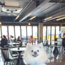 승기천로 이미지