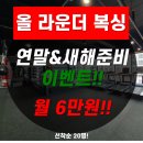 올라운더 복싱 이미지