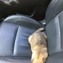 도리약국 이미지