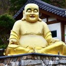 살다보면 Daum카페
