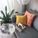 싱그런건강누리 | 식목일기념 우리집 초록이들 이야기.