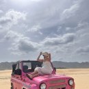 태양목장 | 베트남 판랑 사막, 양떼목장, 비치 1일 투어 솔직 후기: 숨겨진 보물을 찾아서