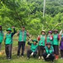 영동 일라이트 휴양빌리지 이미지