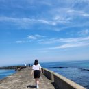 네모2 | 제주도 독채 펜션 네모펜션 15명 숙소 후기 가족여행
