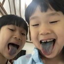 달이뜨면꽃이피고