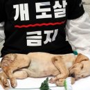 광화문농장 이미지