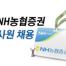 [NH농협증권 채용] 2013년 NH농협증권 신입사원 채용안내 (~11/11) 이미지