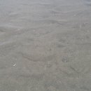 대산민박 이미지