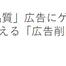 중국발 &#39;저품질&#39; 광고에 지겹다... 이미지