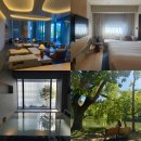 새아침공원 | [삿포로] 코트야드 바이 메리어트 삿포로(공원 산책 코스까지)내돈내산 후기