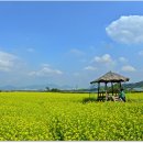 구리한강시민공원 이미지