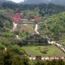 안면도자연휴양림 이미지