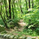 문경새재 트레킹 (조령산자연휴양림 ~ 조령관 ~ 조곡관) [주중 트레킹 #5]