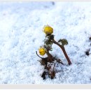 냉천공원 이미지