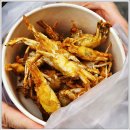 대한횟집 | 안면도 대하축제 즐기고 들른 최고의 맛집, 대한횟집 만세튀김 후기