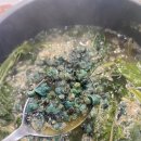 두꺼비가든 이미지